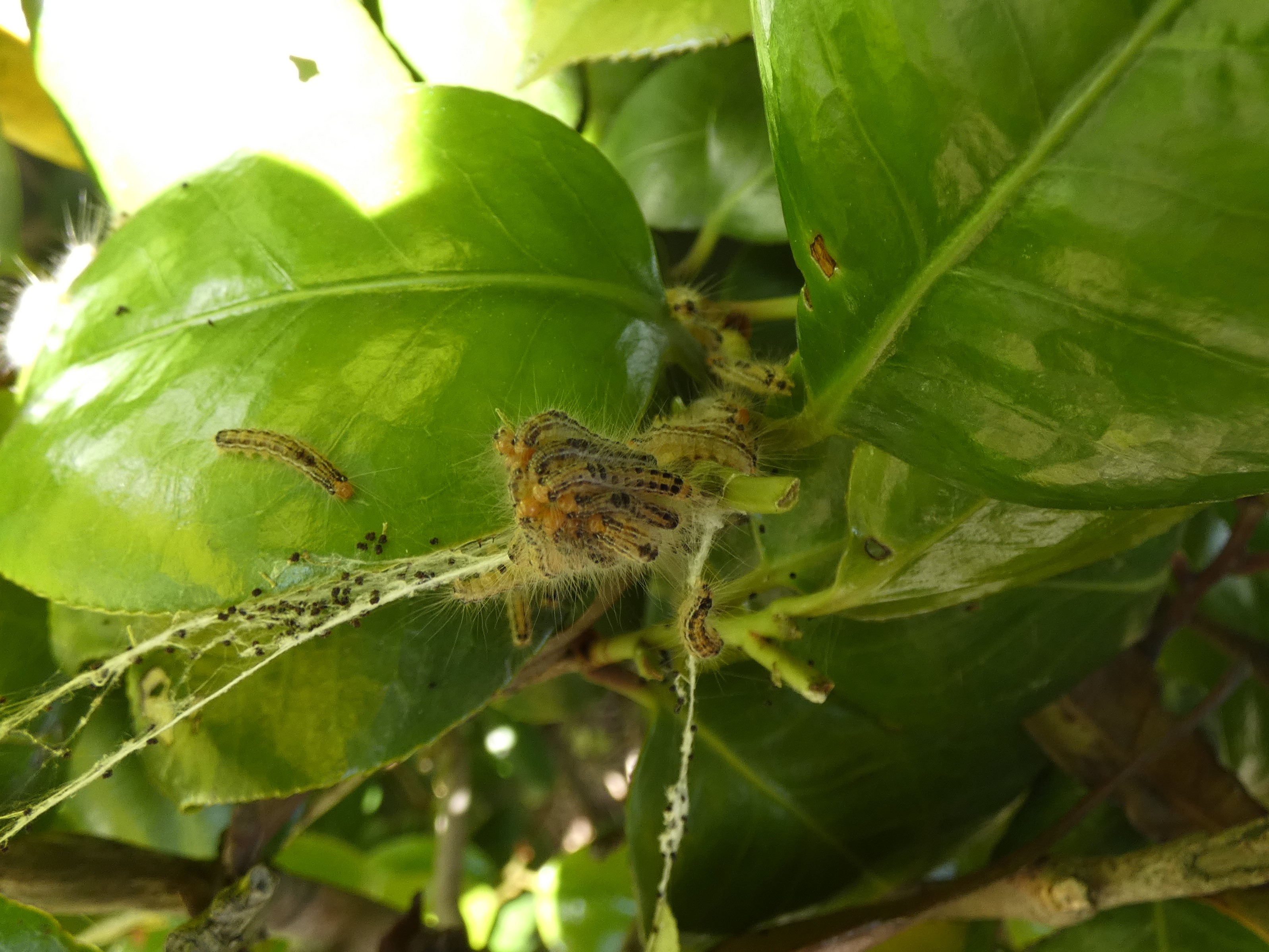 photo_1